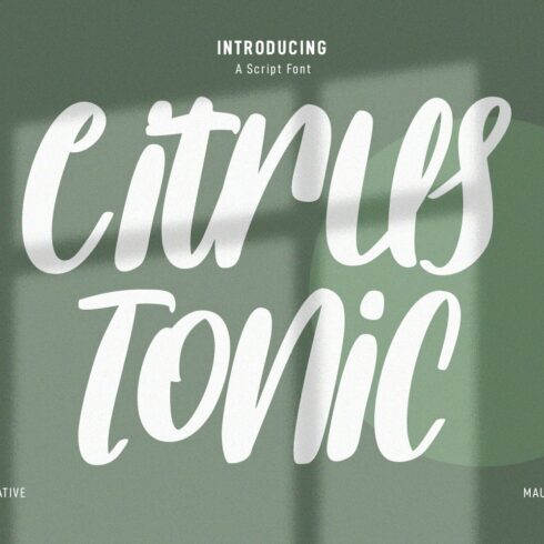 Citrus Tonic Handwritten Script Font cover image.