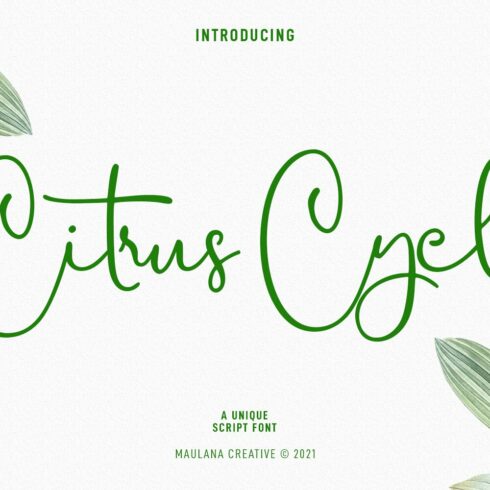 Citrus Cycle Script Font cover image.