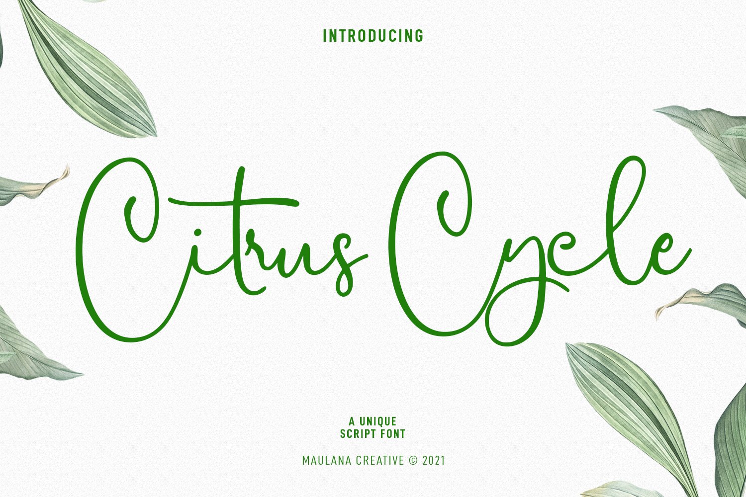 Citrus Cycle Script Font cover image.