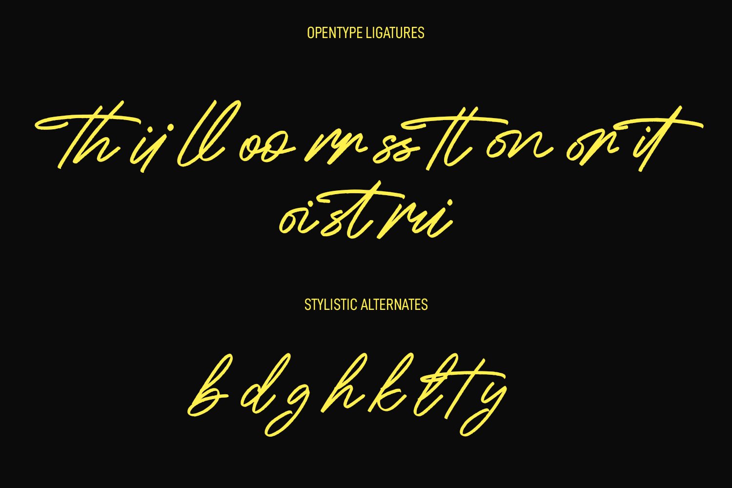 Cityskypes Signature Script Font preview image.