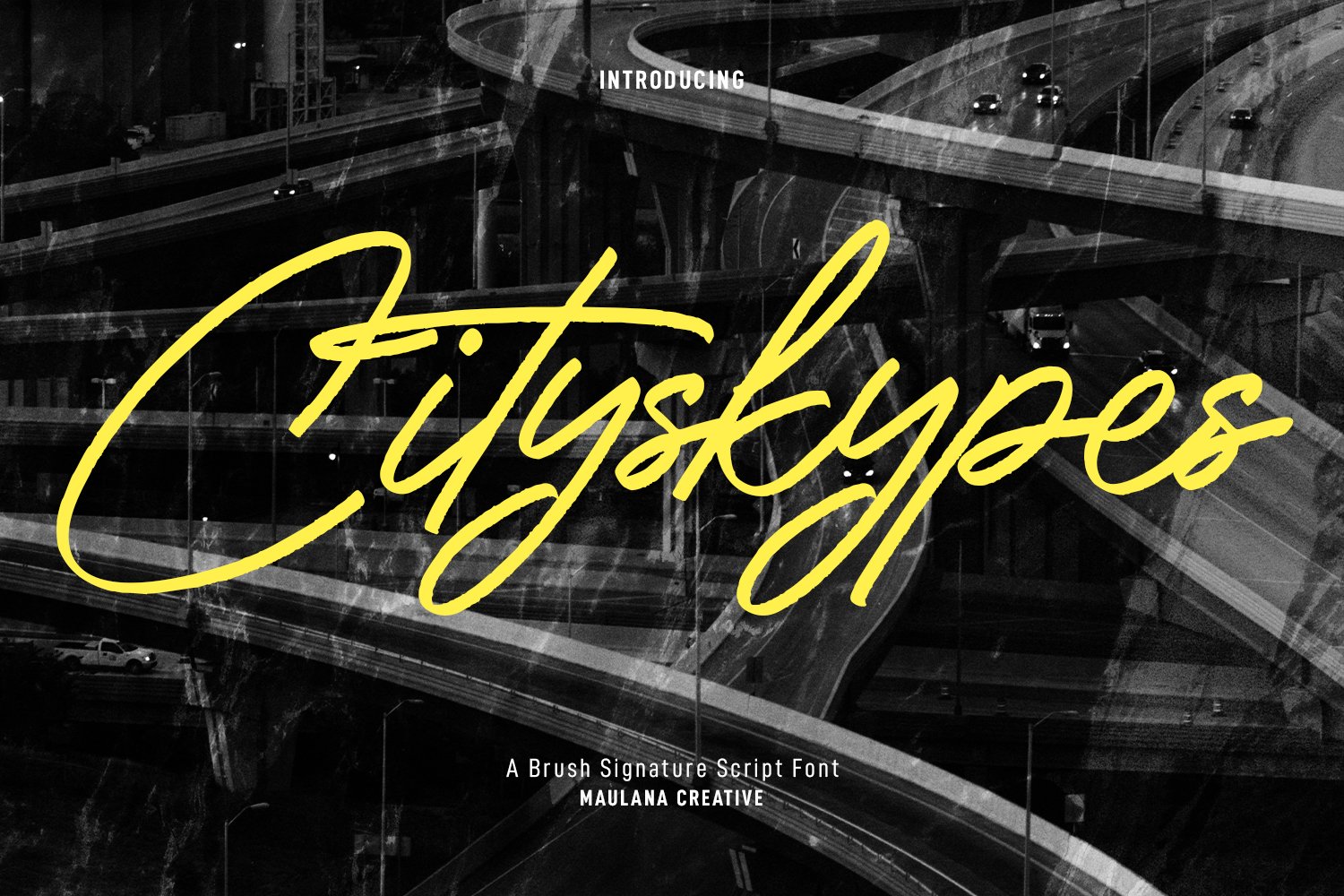 Cityskypes Signature Script Font cover image.