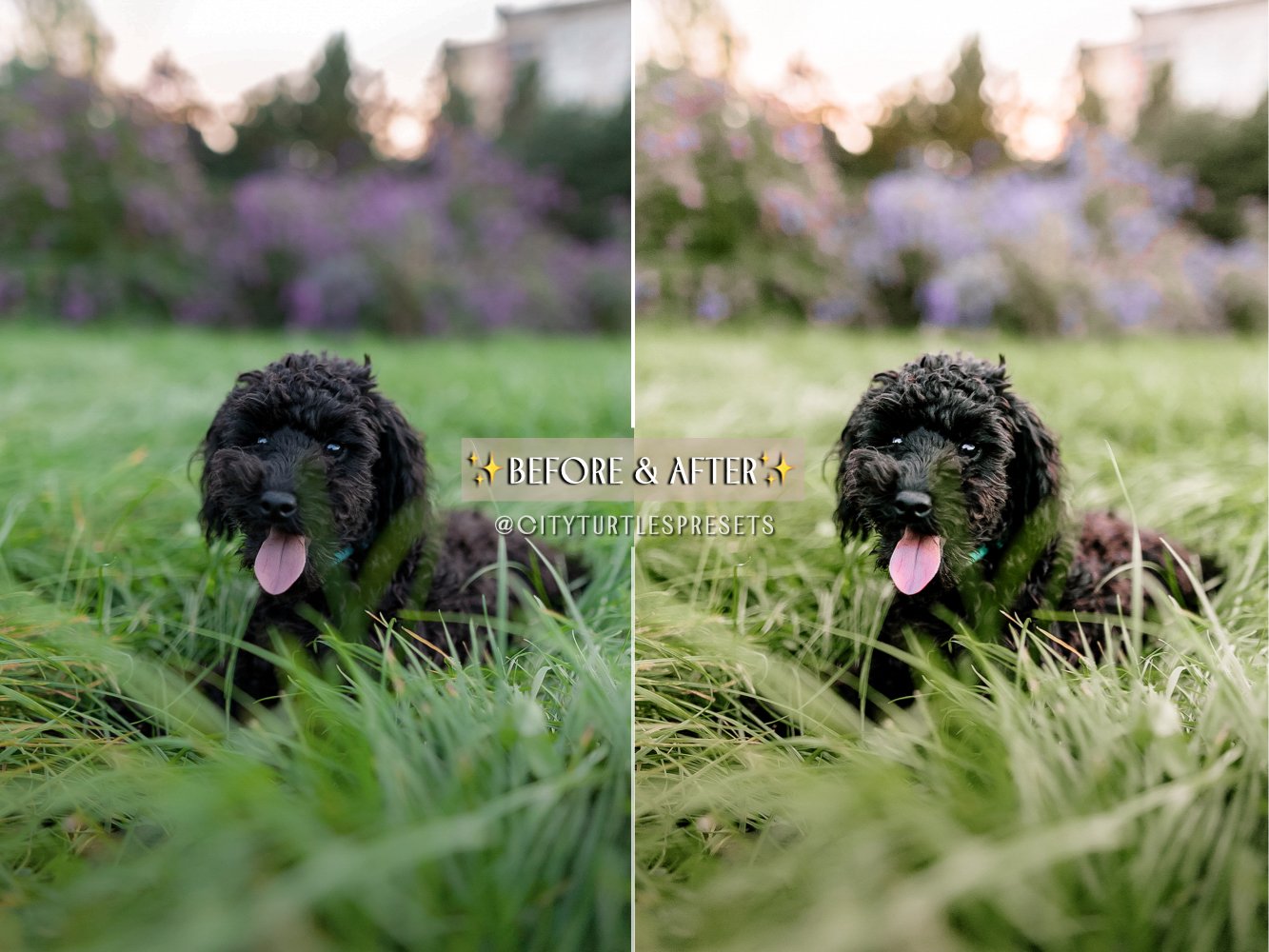 SPRING GLOW Lightroom Presetspreview image.