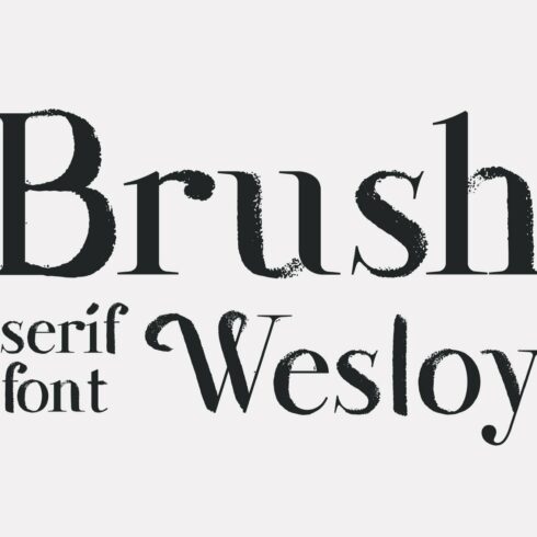 Wesloy dry brush serif font cover image.