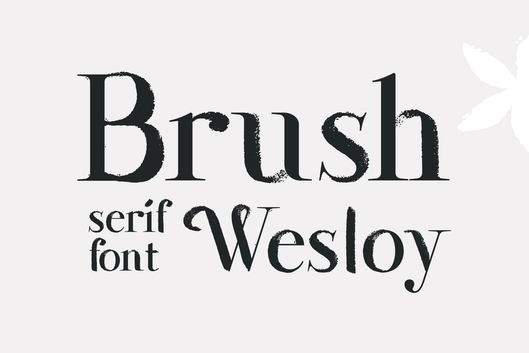 Wesloy dry brush serif font cover image.