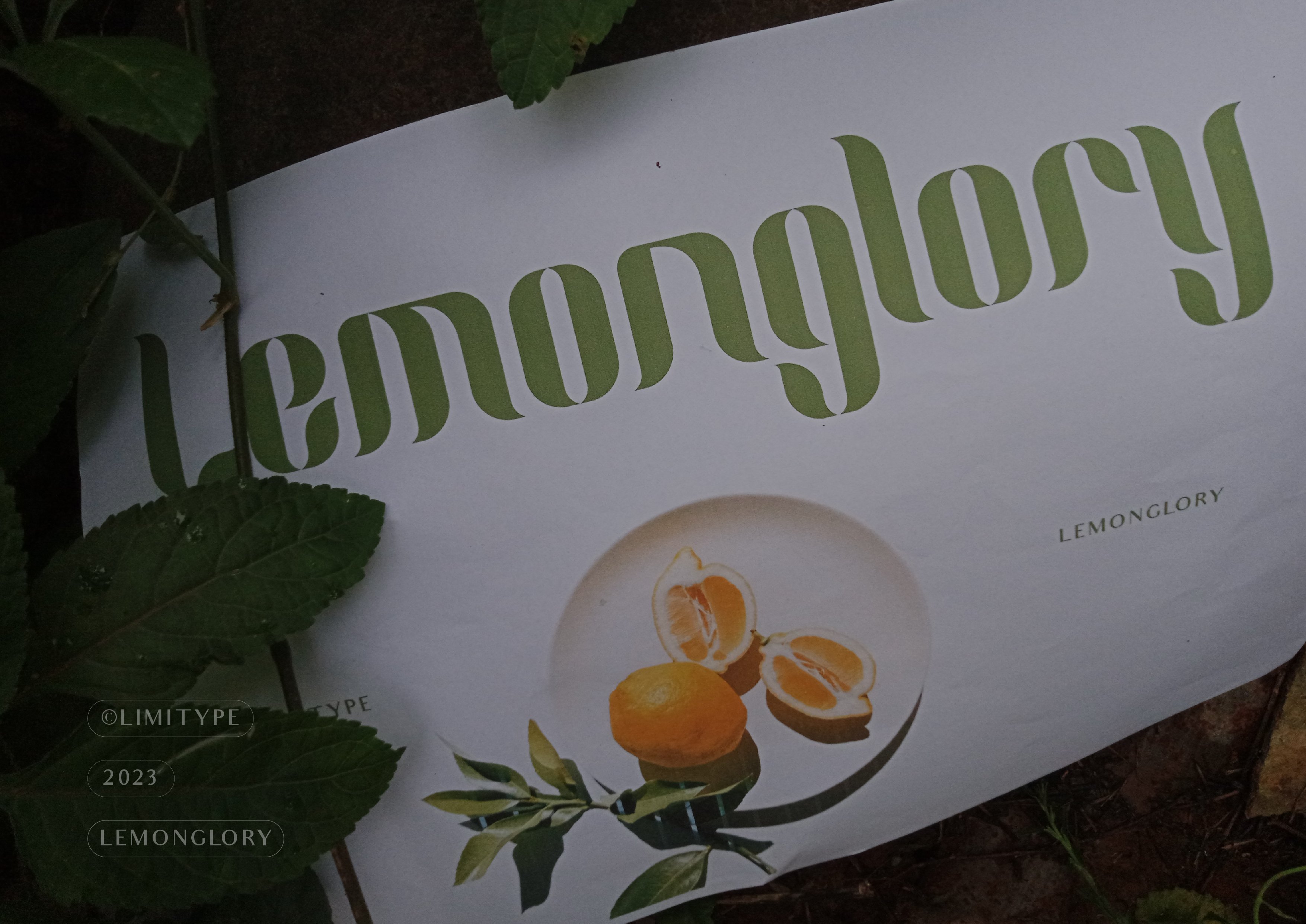 Lemon Glory - Flowers Font preview image.