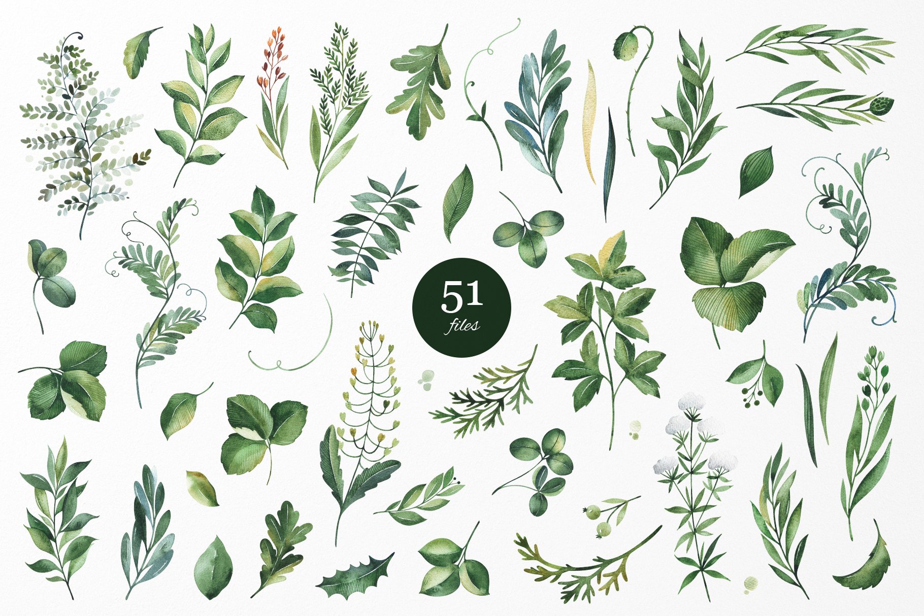 Watercolor Greenery.Vol.2 preview image.