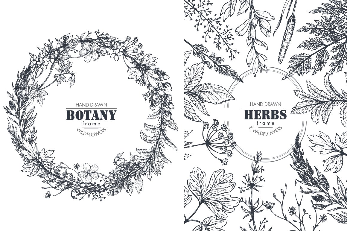 Black and white illustration of herbs.