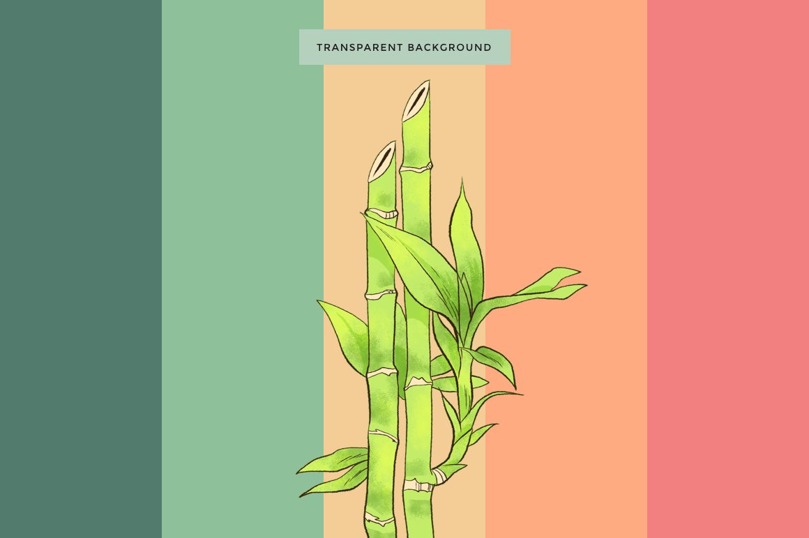 Drawing of a plant with a rainbow background.