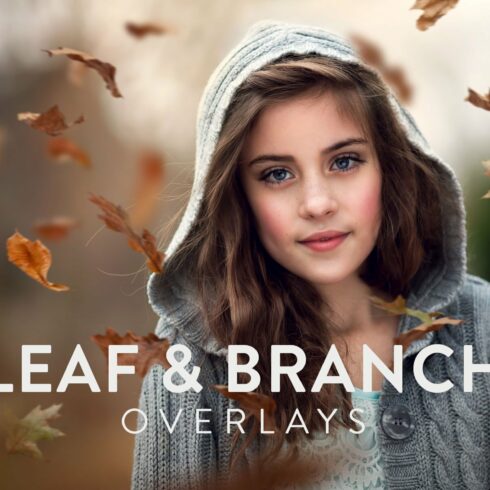 Leaf & Branch Overlays (Real)cover image.