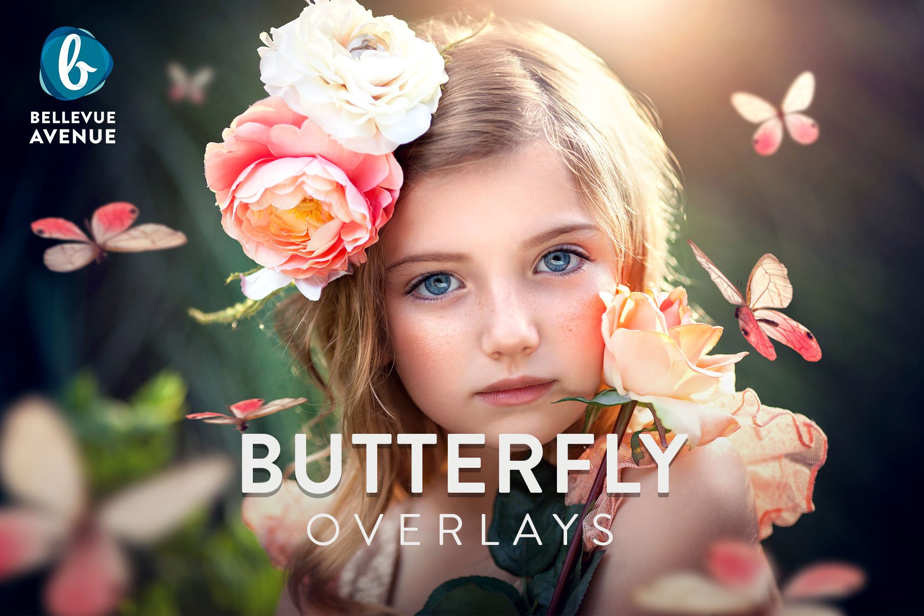 Butterfly Overlays (Real)cover image.