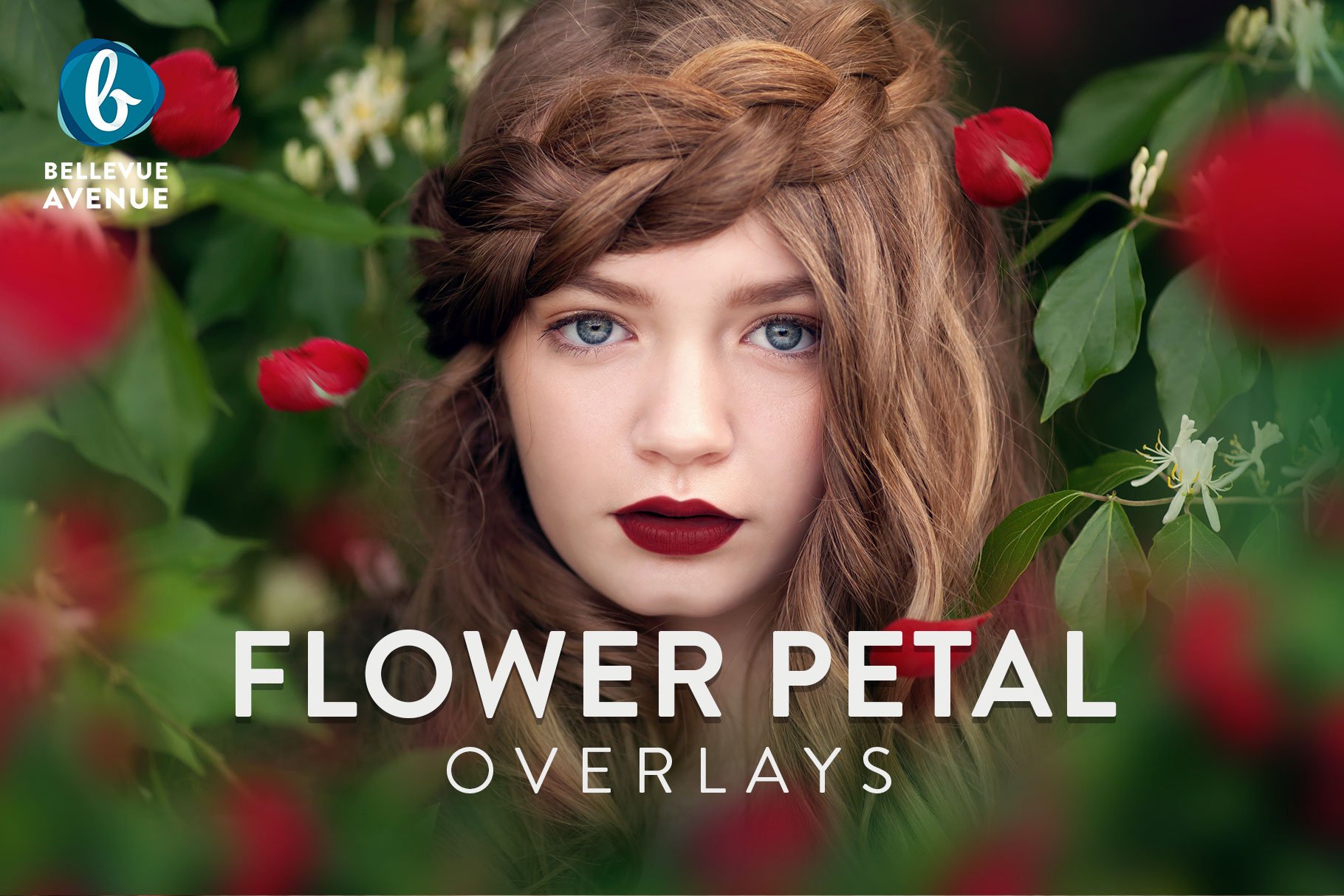 Flower Petal Overlays (Real)cover image.