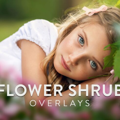 Flower Shrub Overlays (Real)cover image.