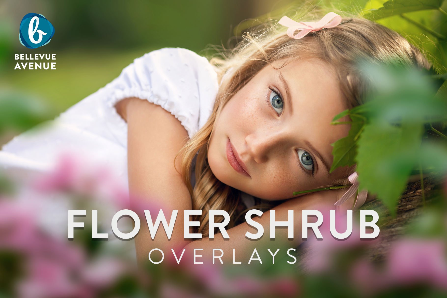 Flower Shrub Overlays (Real)cover image.