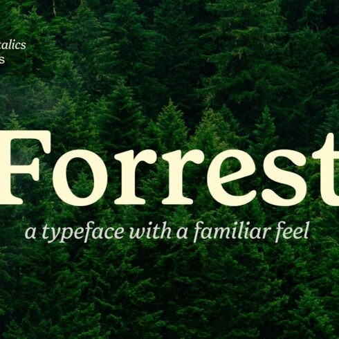 Forrest Friendly Serif Familycover image.