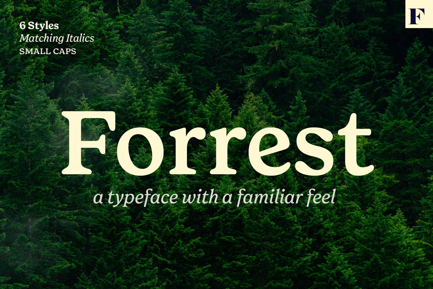 Forrest Friendly Serif Familycover image.