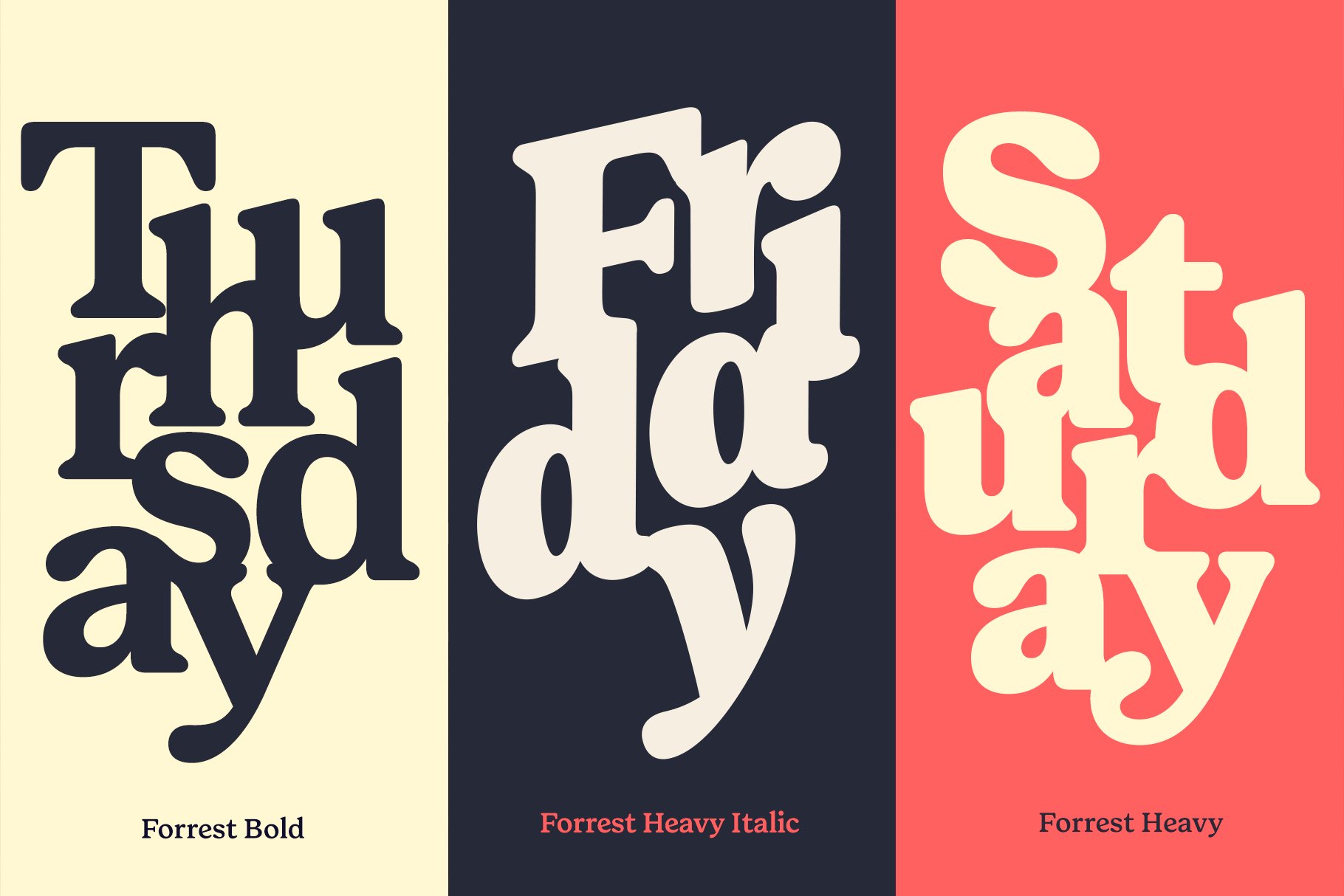 Forrest Friendly Serif Familypreview image.