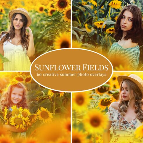 Sunflower Fields photo overlayscover image.