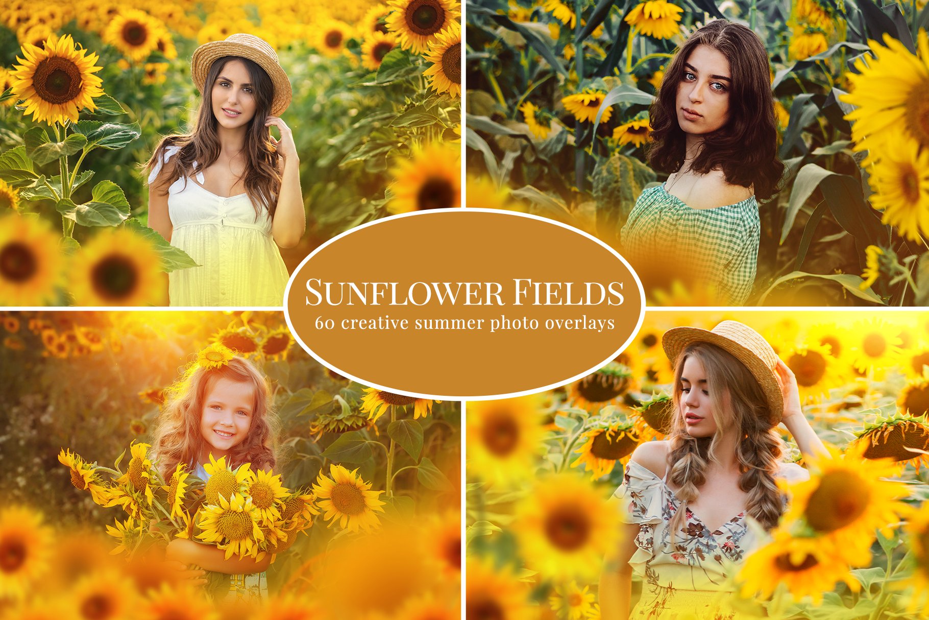 Sunflower Fields photo overlayscover image.