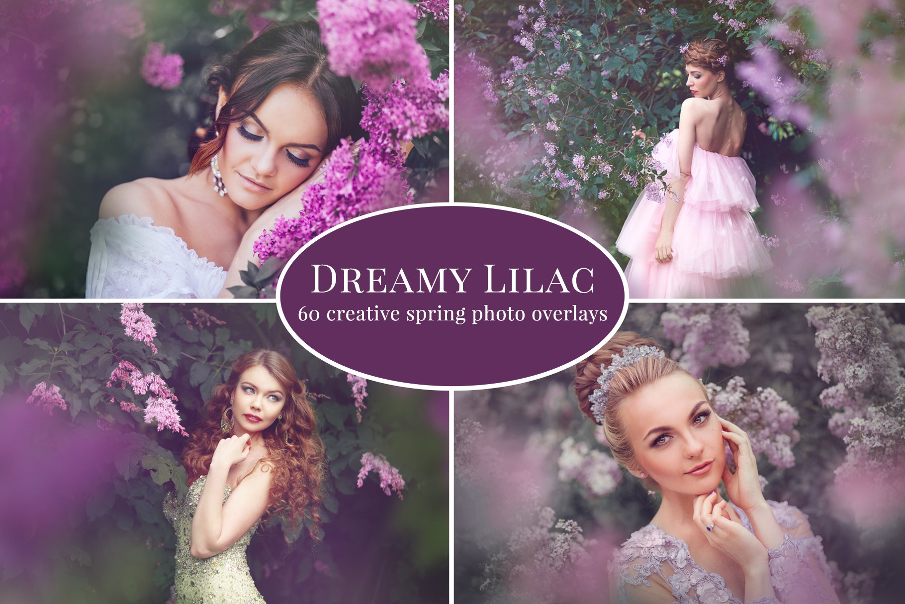 Dreamy Lilac photo overlayscover image.