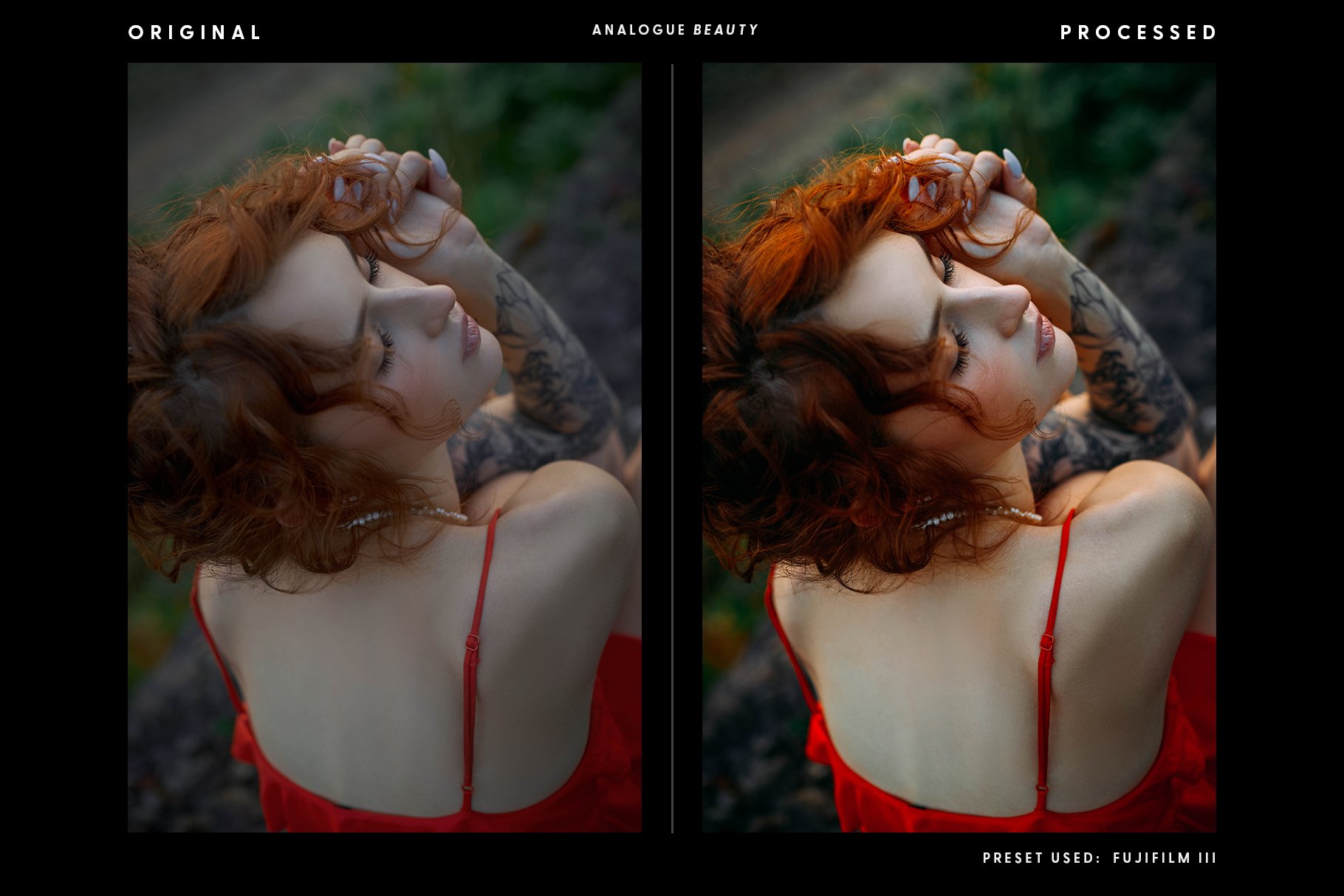 Analogue Beauty - Actions & Presetspreview image.