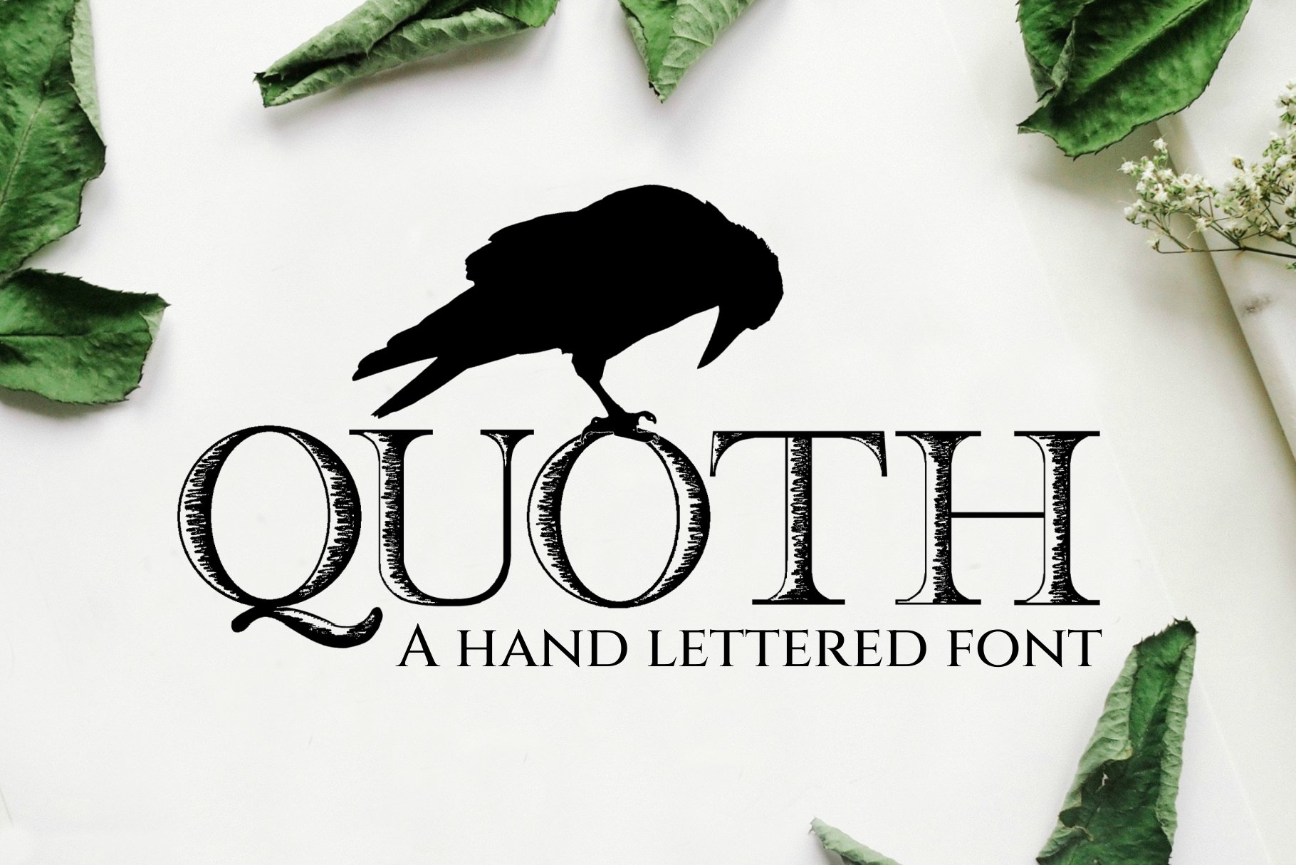 Quoth Font cover image.