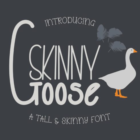 Skinny Goose Font cover image.