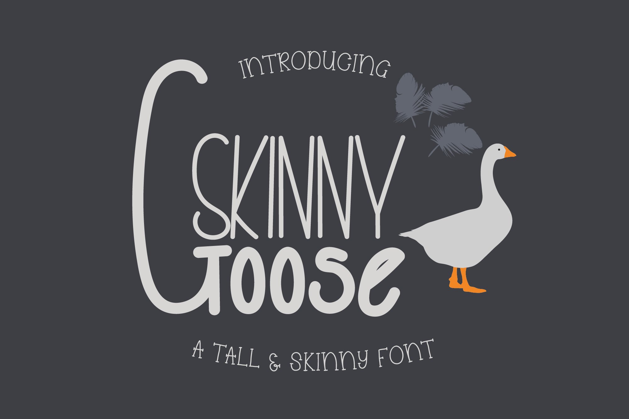 Thin goose 2024