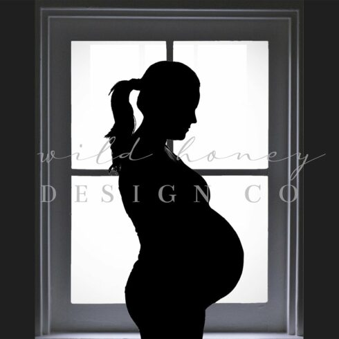 Window Silhouette Digital Backdropcover image.