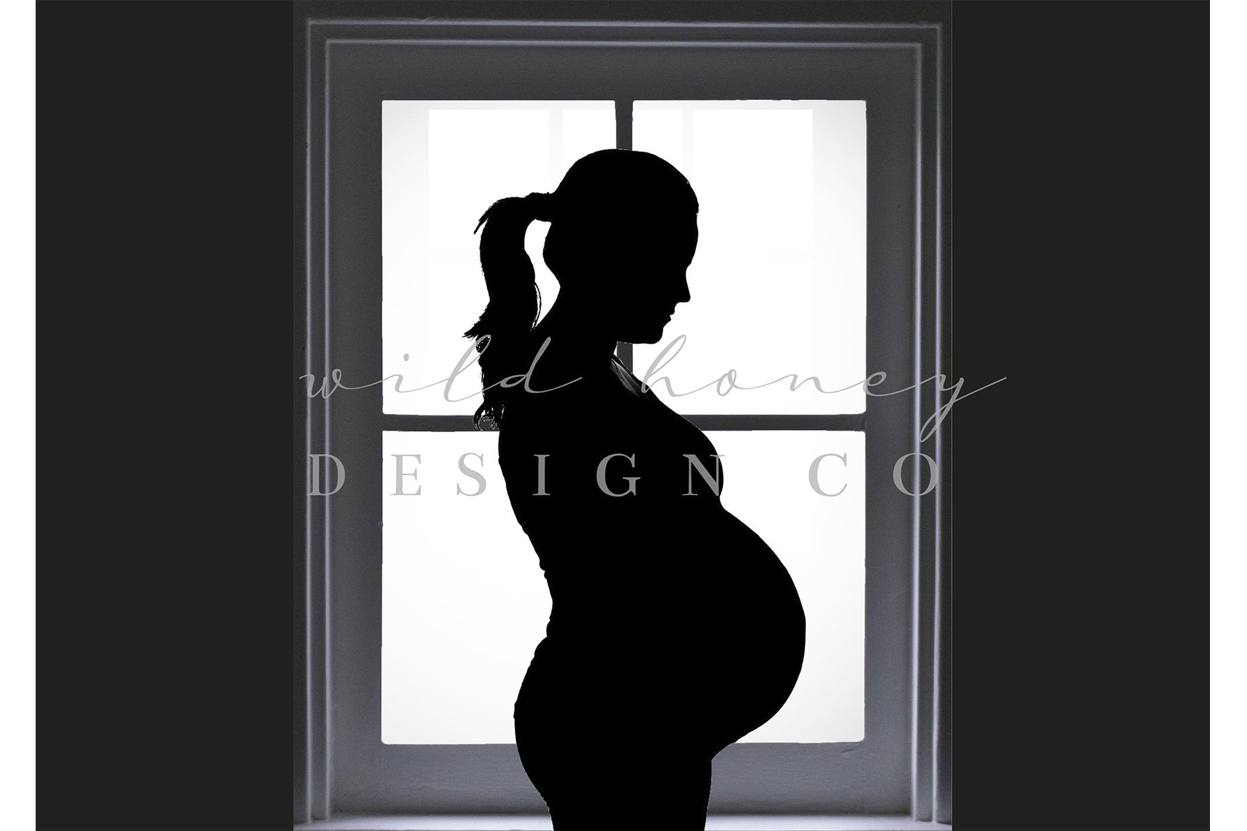 Window Silhouette Digital Backdropcover image.