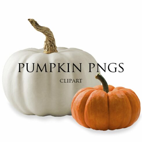 Pumpkin PNGs Clip Artcover image.