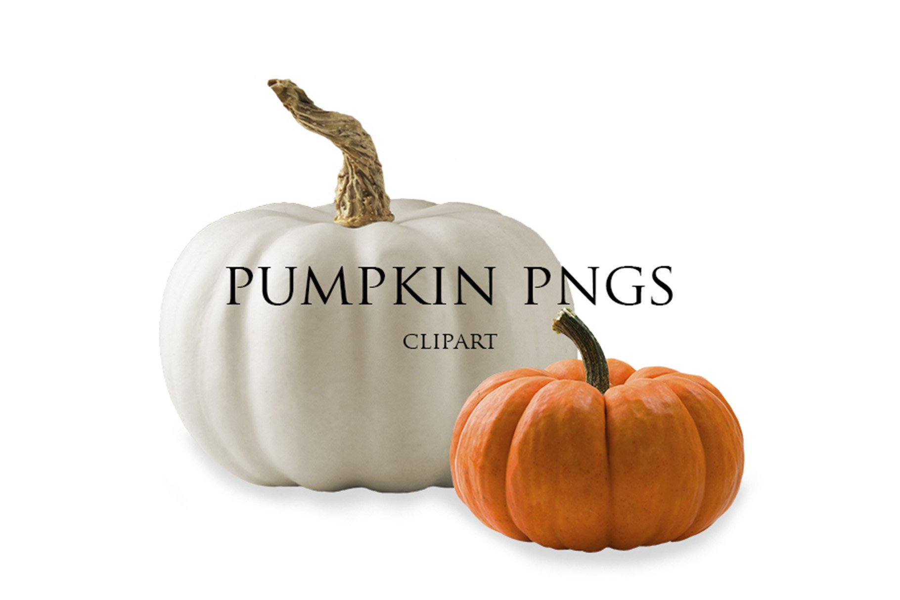 Pumpkin PNGs Clip Artcover image.