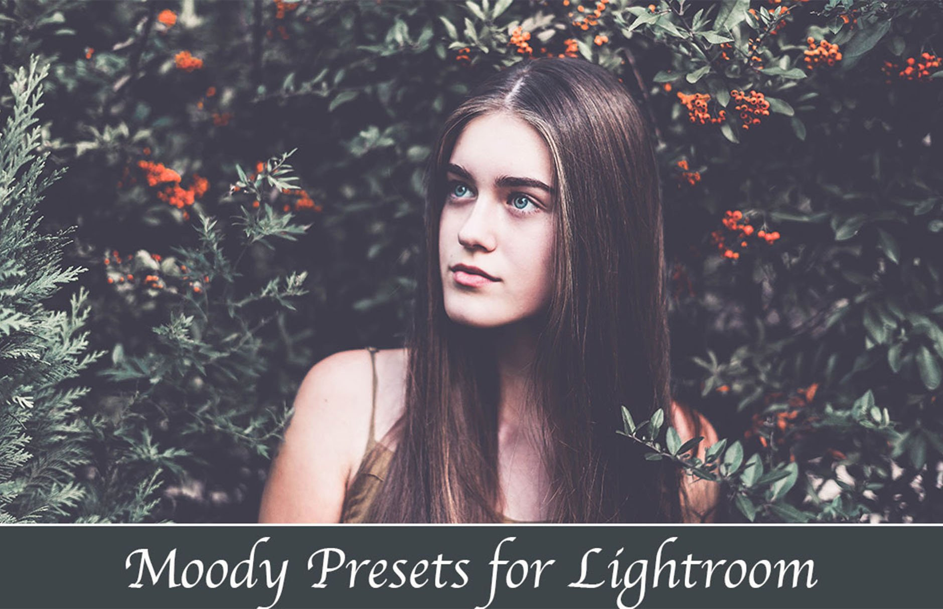 50 Moody Presets for Lightroomcover image.