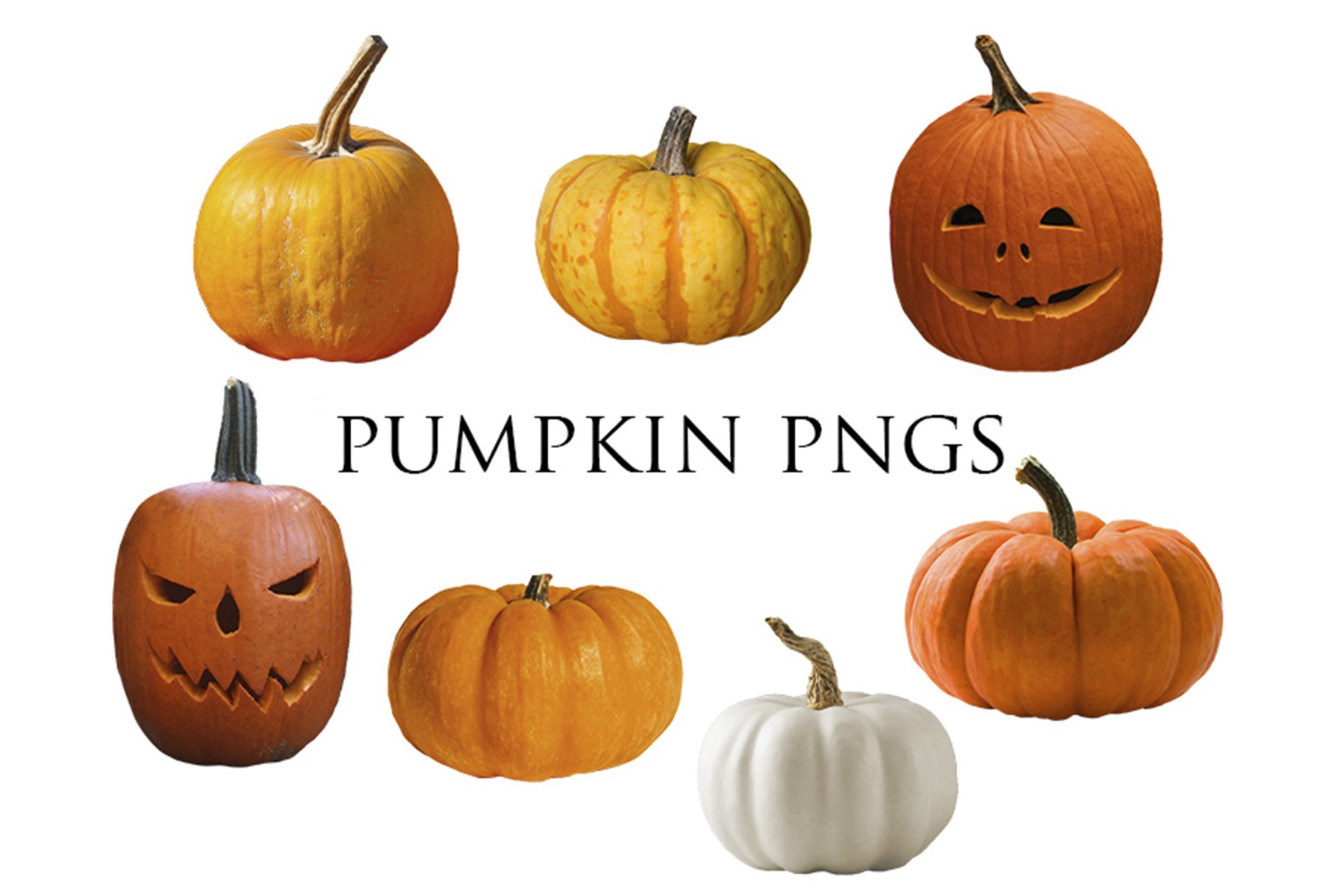 Pumpkin PNGs Clip Artpreview image.