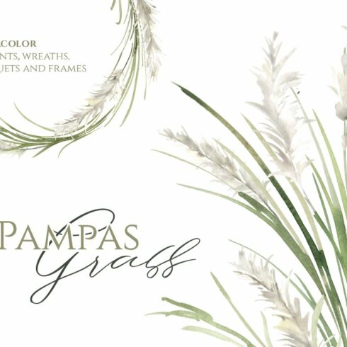 Watercolor Pampas Grass Greenery cover image.