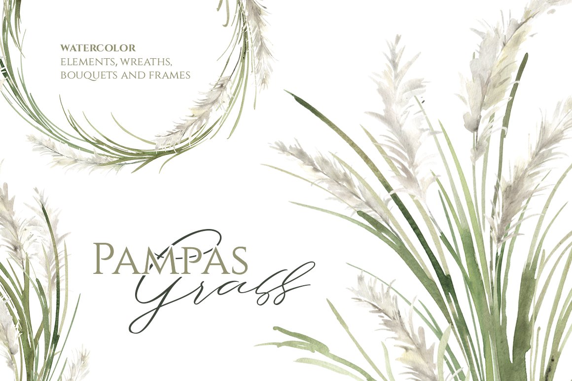 Watercolor Pampas Grass Greenery cover image.