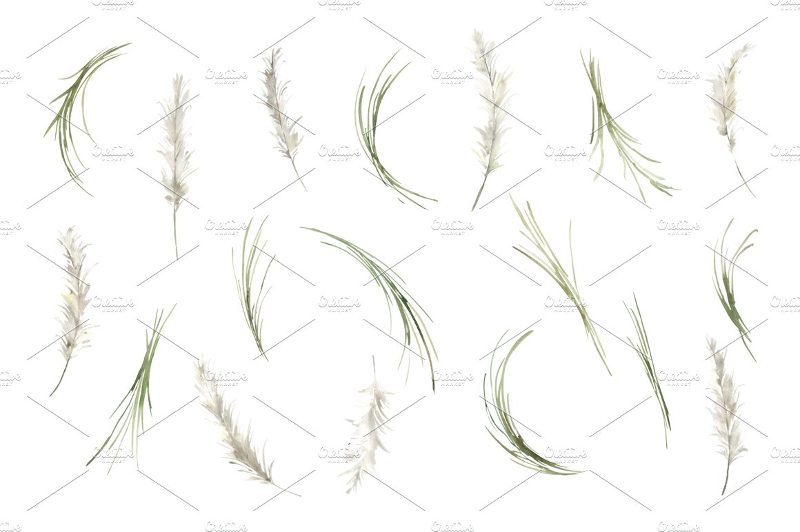 Watercolor Pampas Grass Greenery preview image.