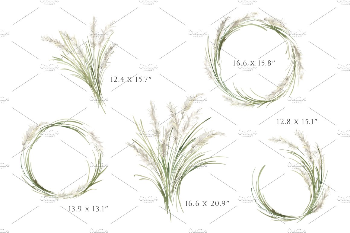 Set of four different types of grass.