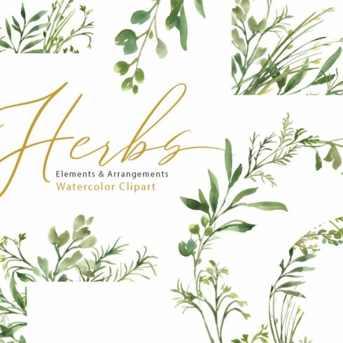 Watercolor Greenery Herbs Leaves PNG cover image.