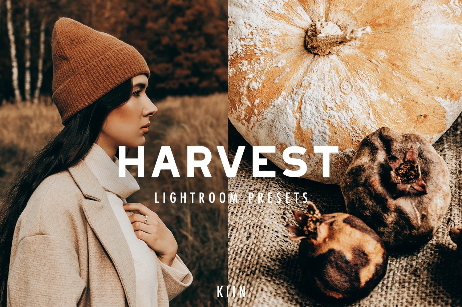 5 HARVEST LIGHTROOM PRESETScover image.