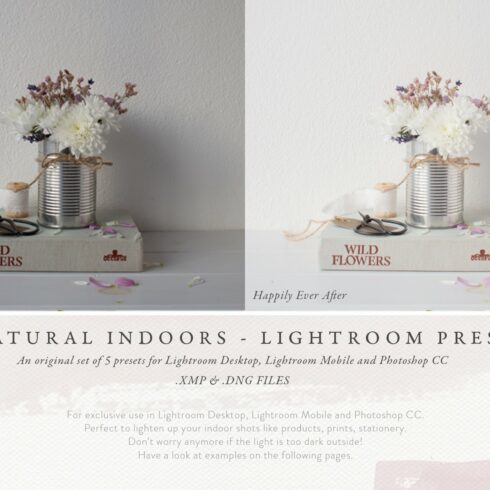 Lightroom presets - Natural indoorscover image.