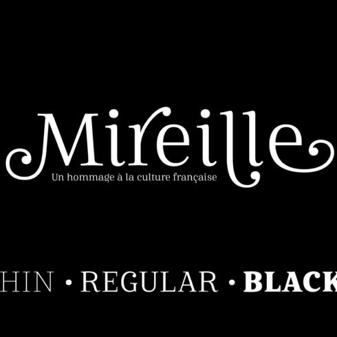 Mireille Font - Swashes & Ligaturescover image.