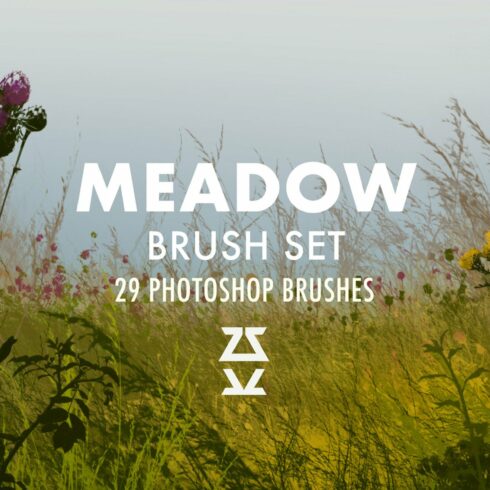 Meadow Brush Setcover image.