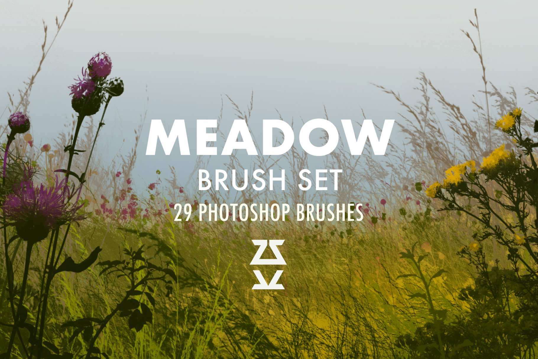Meadow Brush Setcover image.