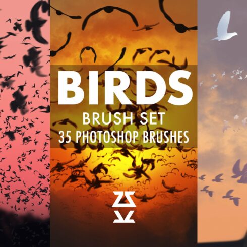 Birds Brush Setcover image.