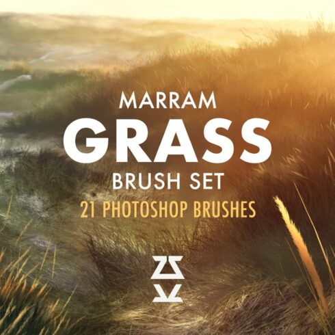 Marram Grass brush setcover image.