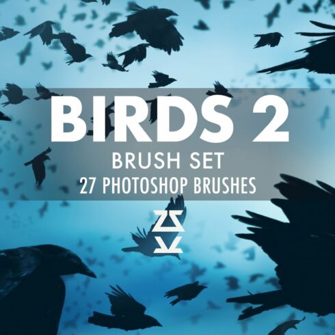 Birds 2 Brush Setcover image.