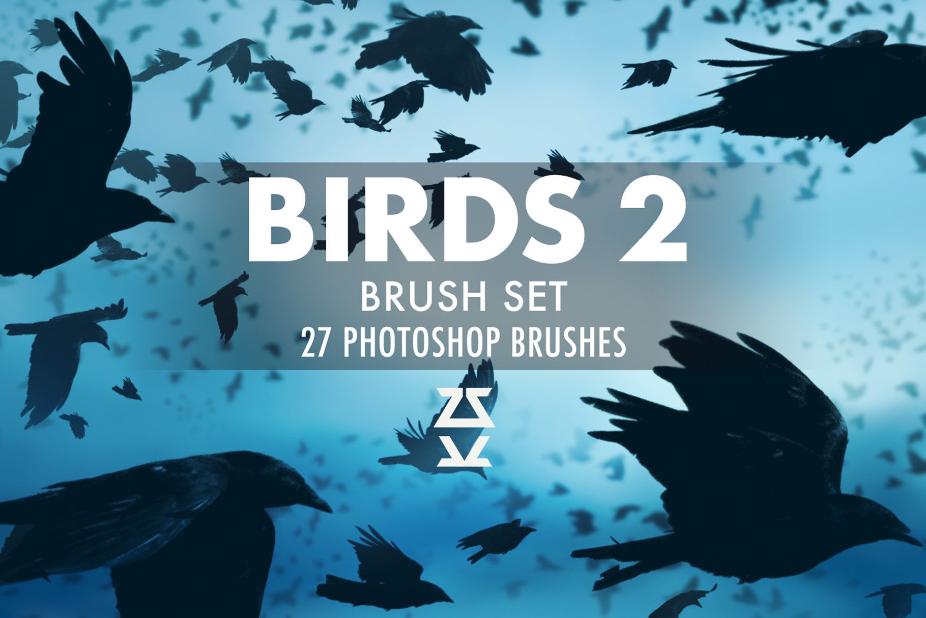 Birds 2 Brush Setcover image.