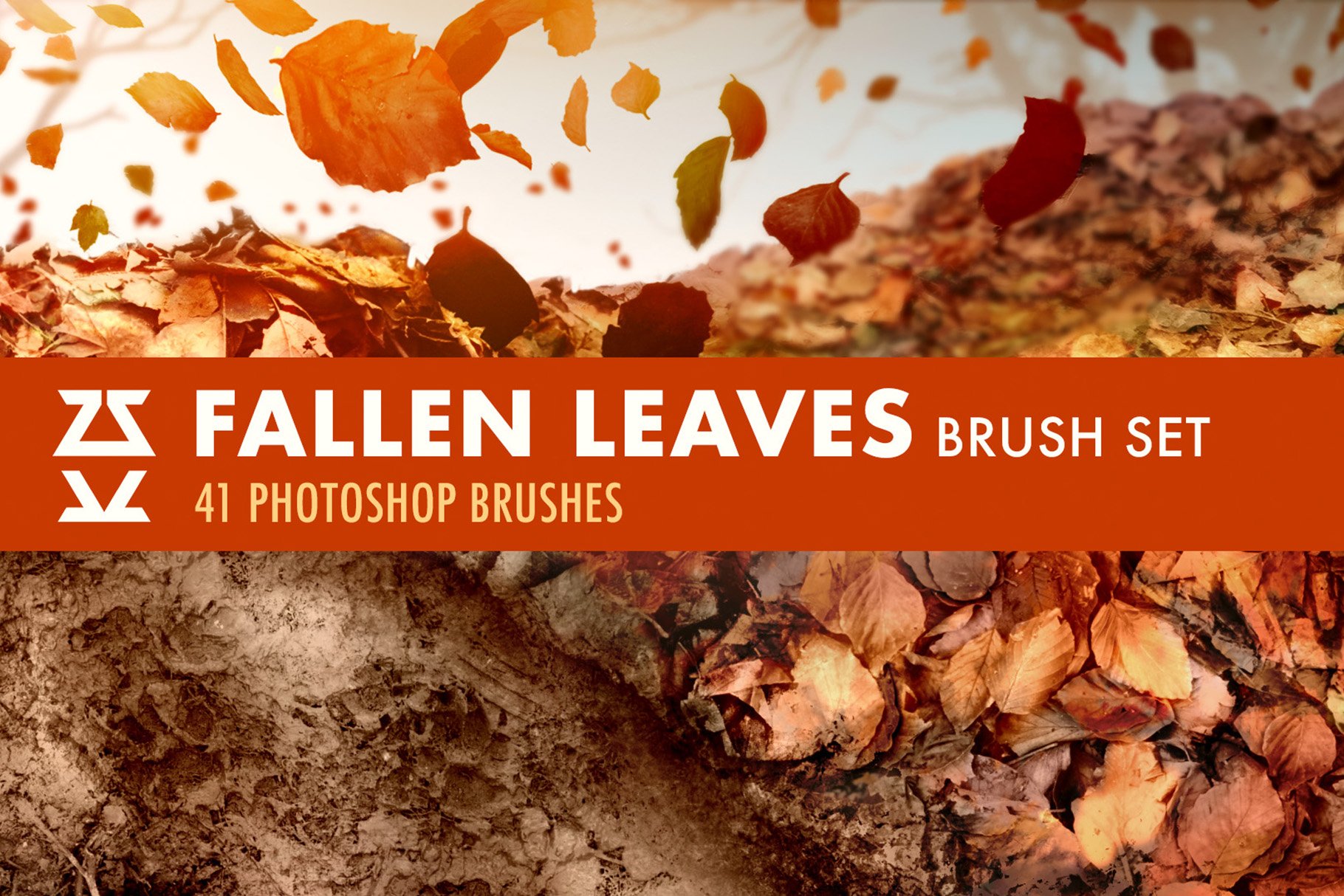 Fallen Leaves Brush Setcover image.