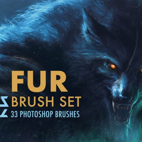 Fur Brush Setcover image.