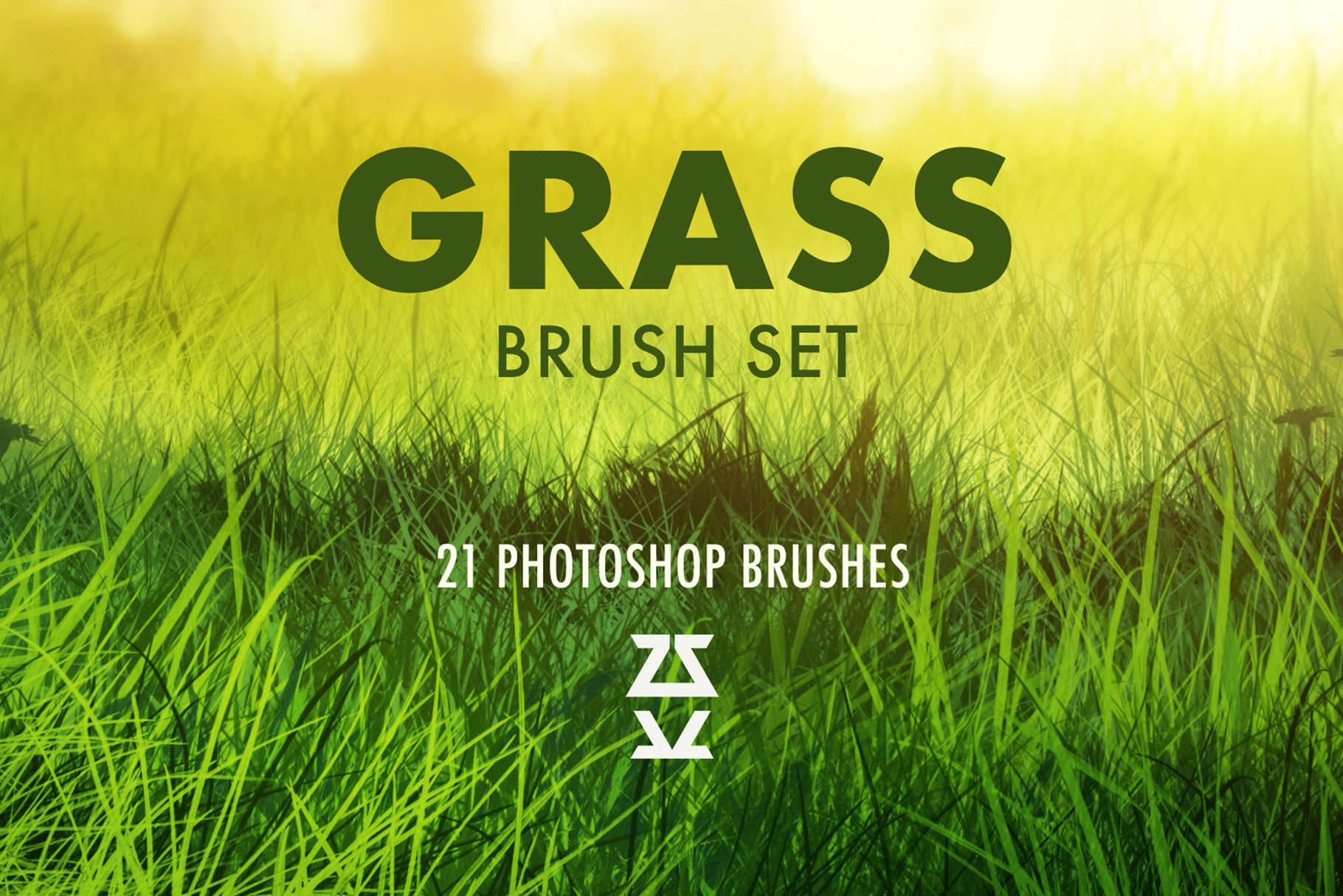 Grass 2 Brush Setcover image.